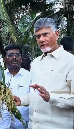 Cyclone Montha Hits Andhra Coast, Leaves Trail of Damage